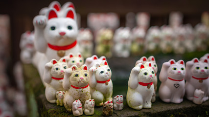 Numerous maneki-neko, or also known as 