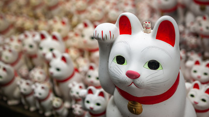 Numerous maneki-neko, or also known as 