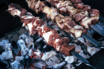 Shish kebab, fried meat. camping, opening season.