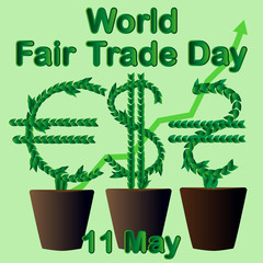 World Fair Trade Day. The money tree grows in a flowerpot. May 11