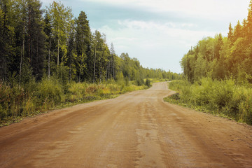 Road trough nature with green forest and blue sky during summer. Gravel dirt road. Fire protection