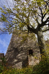 Burg Hohen Baden