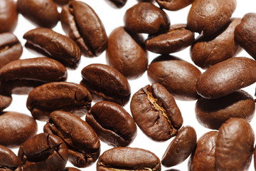 Roasted coffee beans on white can be used as background or texture. Close up.