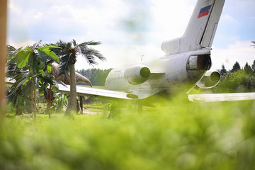 Plane in the jungle. The plane landed in the dense vegetation of the palms. Journey to the island in the jungle.