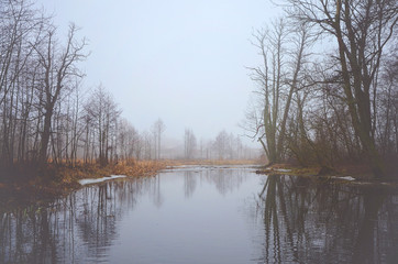 Fototapeta na wymiar landscape with lake and trees in winter