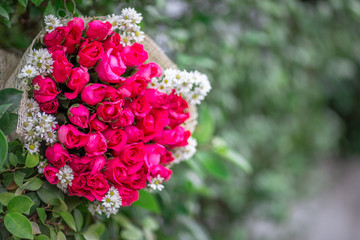 Wallpaper of flowers (roses) that are placed on chairs or wooden tables, to be displayed at festivals or on special occasions (Valentine, wedding, birthday, new year) 