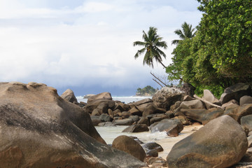 Fototapeta na wymiar beach with boulders and palm trees on the ocean shore