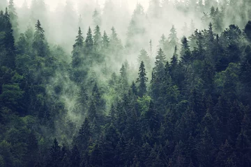 Foto auf Acrylglas Nebelhafte Berglandschaft © Roxana