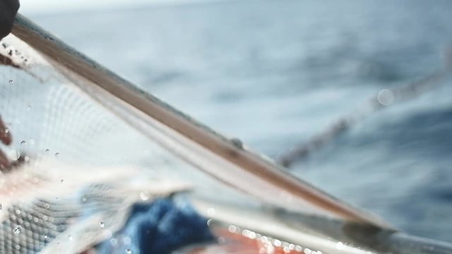 Fisherman getting fish from his net