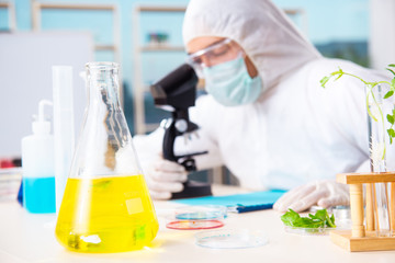 Fototapeta premium Male biotechnology scientist chemist working in the lab