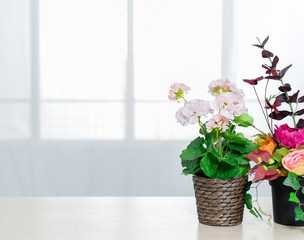 There are beautiful flowers and various objects in front of big living room windows.