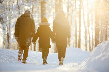 Back view portrait of happy family holding hands enjoying walk in winter forest lit by sunlight,...