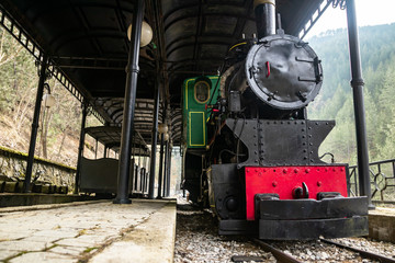 Old small steam locomotive in the train station. Sarganska Osmica railway in Bele Vode - Mokra gora, Serbia.