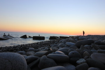 man and seagulls at sunset