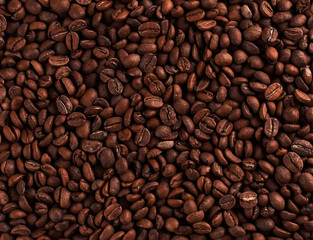 Coffee beans arround the circle