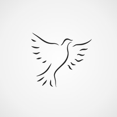 dove icon vector design