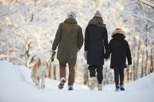 Back view portrait of happy family posing with dog in beautiful winter forest, copy space