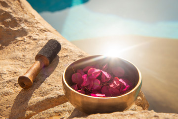 Meditation is a vacation for the mind at any time of the year.