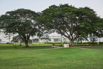 Trees at the Plaza de Espana at Hagatna, Guam, USA