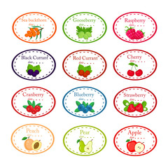 Big set of different labels for jam and conservs with garden fruits