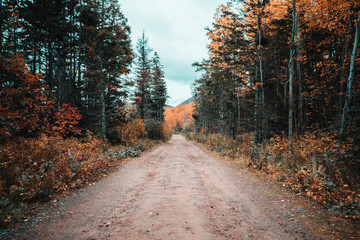 Cape Breton, Nova scotia, Canada 