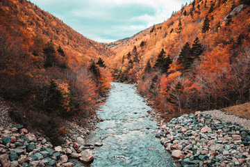 Cape Breton, Nova scotia, Canada 