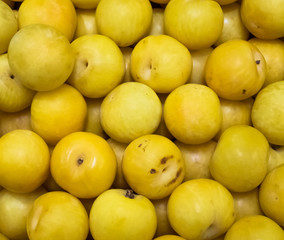 Fresh Harvested Fruit