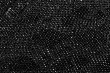 black leather background