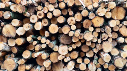 Möbelaufkleber wooden logs pattern © Mateusz