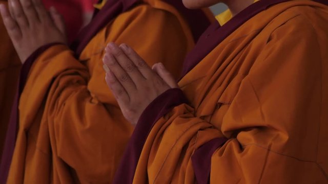 Praying Young Buddhist Monks B