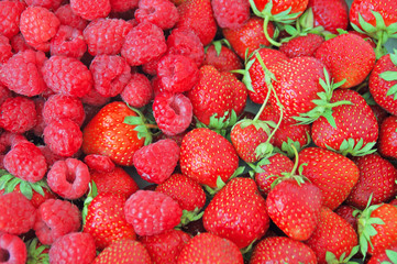 strawberries and raspberries background