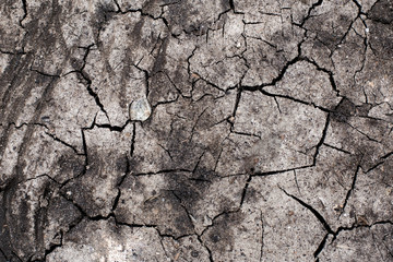soil crack texture