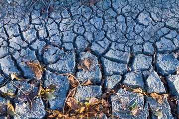 Campagne e risaie del pavese (Lombardia) © Alessandro Calzolaro