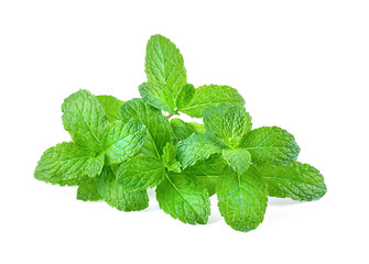 Fresh mint full depth of field isolated on the white background