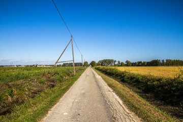 Campagne e risaie del pavese (Lombardia)