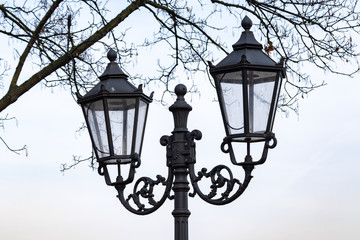 street lamp on blue sky background under a tree