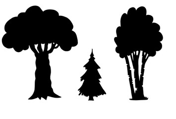 Silhouette of trees. Blow, birch, fir, Christmas tree
