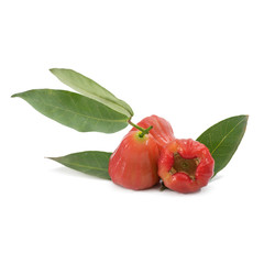 water apple fruit or bell fruit isolate on white background