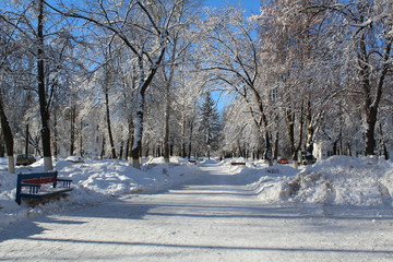 snow-covered alley in the city 