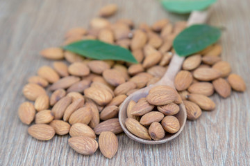 Macadamia nut on wood background.