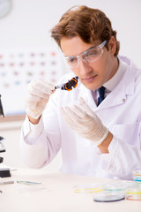 Scientist entomologist studying new butterfly species