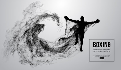 Abstract silhouette of a boxer, mma, ufc fighter on the white background from particles, dust, smoke, steam. Boxer is winner. Background can be changed to any other. Vector illustration