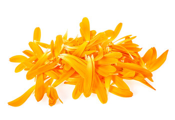 Fototapeta premium Petals of calendula flowers on white background