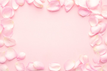 Fototapeta na wymiar Rose flower petals