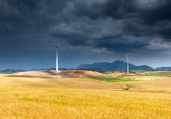 Windmill on the field