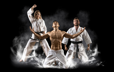 Three martial arts masters, karate, taekwondo practice