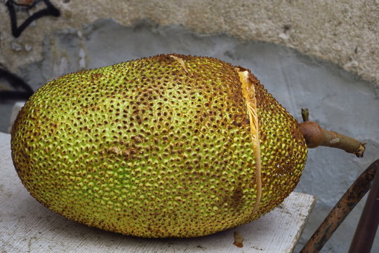 รูปภาพJacquier เลือกดูภาพถ่ายสต็อก เวกเตอร์ และวิดีโอ137 Adobe Stock