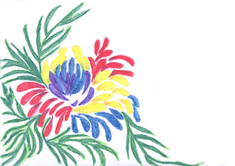 colored flower on a white background, pencil drawing, blank for a postcard, a flower drawn in oil chalk, a bright flower