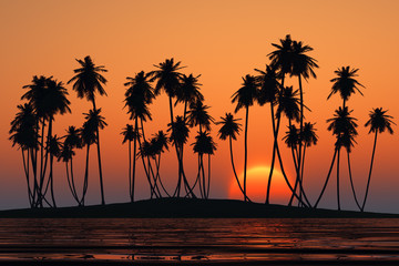 Fototapeta na wymiar coconut palms island