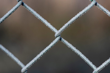 detail of a fence covered with morning frost
